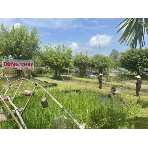 Một Ngày Làm Nông Dân Của Du Khách Tại Khu Du Lịch Văn Hoá Phương Nam