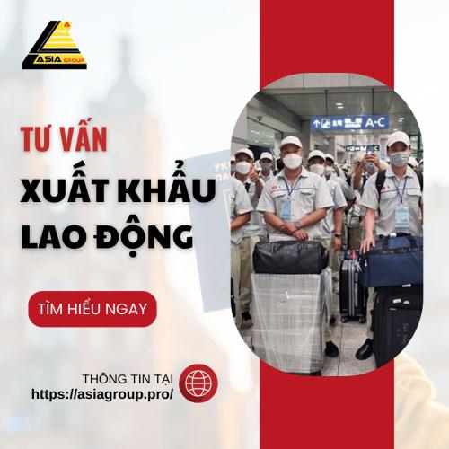 Dịch Vụ Tư Vấn, Xuất Khẩu Lao Động