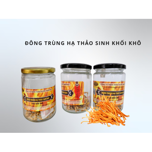5. Lời kết