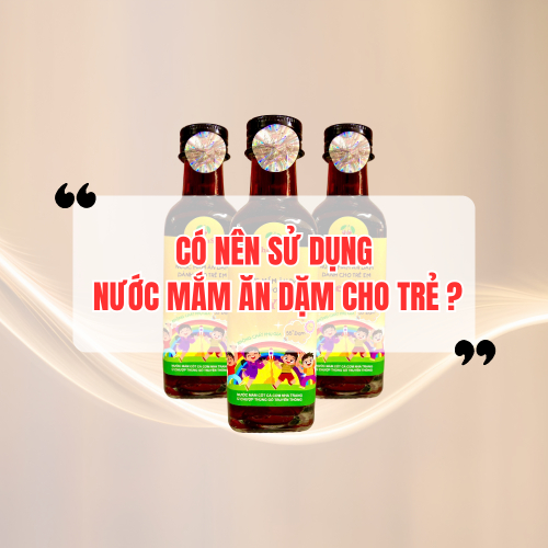 Có Nên Sử Dụng Nước Mắm Cho Trẻ Ăn Dặm?