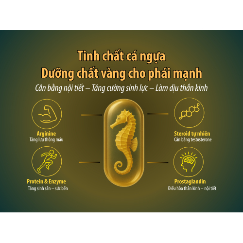 II. Tinh chất cá ngựa – Dưỡng chất vàng cho phái mạnh