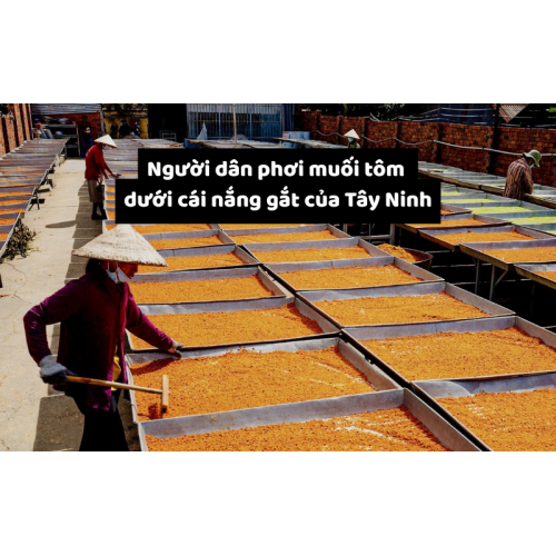 Nguồn gốc của muối tôm Tây Ninh