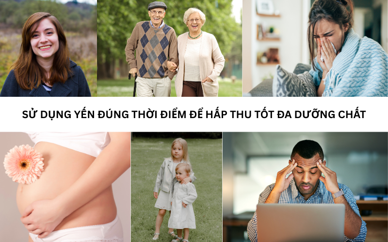Thời điểm sử dụng yến sào cho từng đối tượng cụ thể