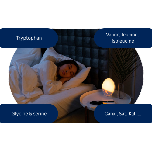 Thành phần dinh dưỡng giúp yến sào hỗ trợ ngủ ngon và giảm mệt mỏi