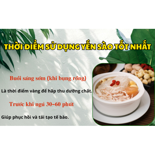 Thời điểm sử dụng yến sào tốt nhất trong ngày