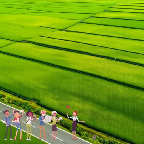 Hướng Dẫn Viên Du Lịch Trong Khu Du Lịch Quốc Gia Núi Sam