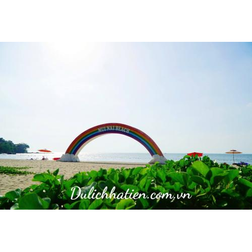 Giáng Sinh Trên Biển Xanh - Check-in Cây Thông Mũi Nai